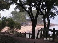 Le bois de la Chaize