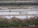 Les marais salants
