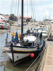 Promenades en mer