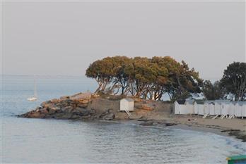 Photographie de Mr Y. Suinat