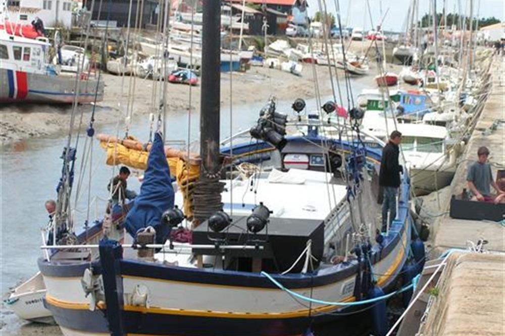 Promenades en mer