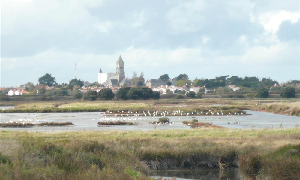Réserve de Müllembourg Noirmoutier près de l'Hôtel Autre Mer, hôtel 2 étoiles, hôtel bord de mer, chambres d'hôtel Noirmoutier en Vendée