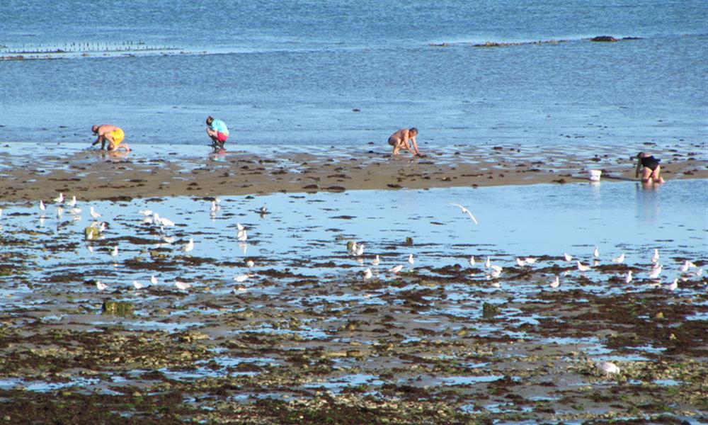 Pêche à pied Noirmoutier près de l'Hôtel Autre Mer, hôtel 2 étoiles, hôtel bord de mer, chambres d'hôtel Noimoutier en Vendée