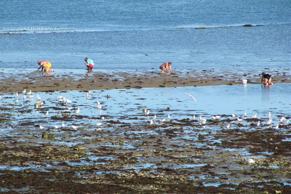 Pêche à pied Noirmoutier près de l'Hôtel Autre Mer, hôtel 2 étoiles, hôtel bord de mer, chambres d'hôtel Noimoutier en Vendée